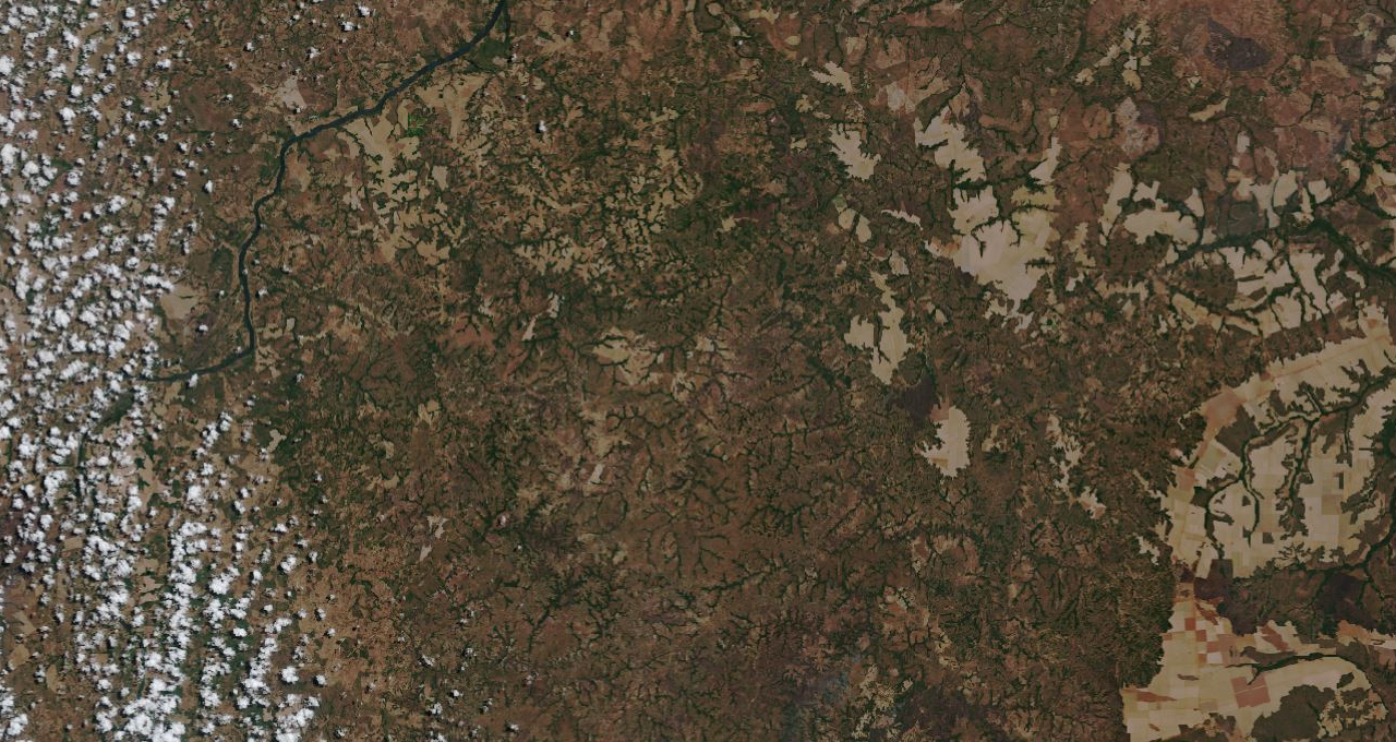 Satellite image of the Amazon in Tocantins area, Brazil.
