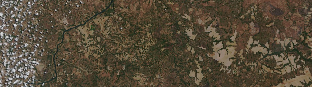 Satellite image of the Amazon.